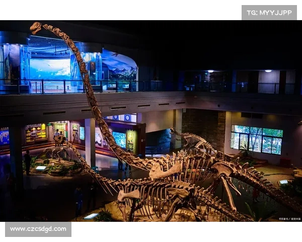 探索古老生物奥秘与精怪问道的神秘魅力之旅