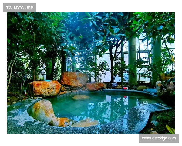 享受热泉养生之旅：迎合不同人群需求