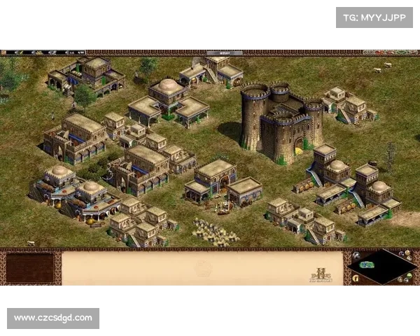 帝国时代游戏中的致胜策略与历史演变探析