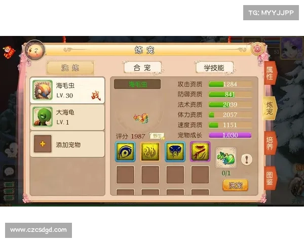 梦幻西游飞升全攻略必备技巧与注意事项详解助你顺利飞升