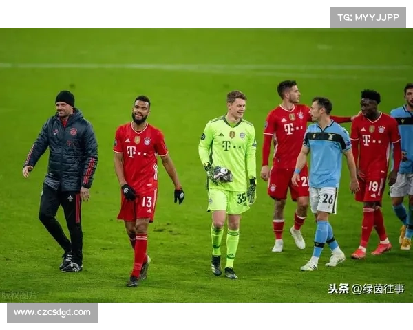 深入探讨曼联弗兰巅峰时期代表技能与核心价值全景深度分析研究篇